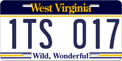 WV license plate 1TS017