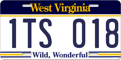 WV license plate 1TS018