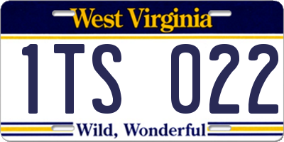 WV license plate 1TS022