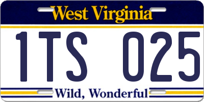 WV license plate 1TS025