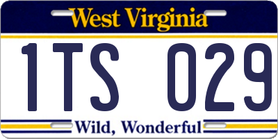 WV license plate 1TS029
