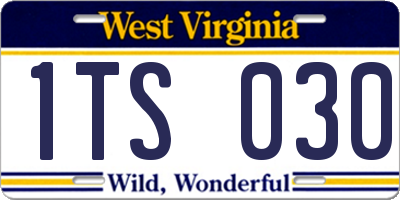 WV license plate 1TS030