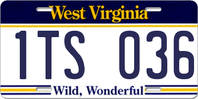 WV license plate 1TS036