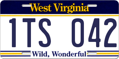 WV license plate 1TS042