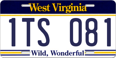 WV license plate 1TS081