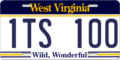 WV license plate 1TS100