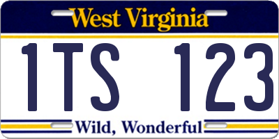 WV license plate 1TS123