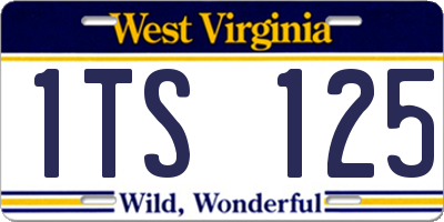 WV license plate 1TS125