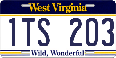 WV license plate 1TS203