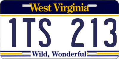 WV license plate 1TS213
