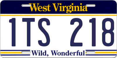 WV license plate 1TS218