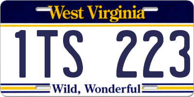 WV license plate 1TS223
