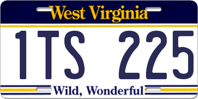 WV license plate 1TS225