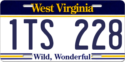 WV license plate 1TS228
