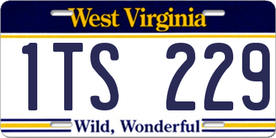 WV license plate 1TS229