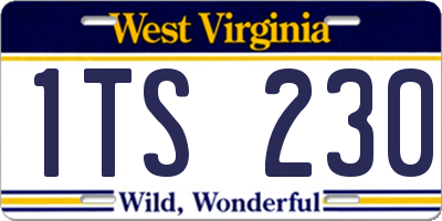 WV license plate 1TS230