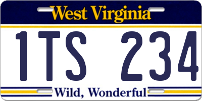 WV license plate 1TS234