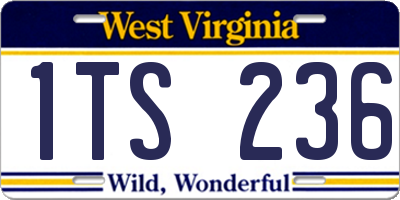 WV license plate 1TS236