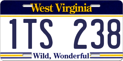 WV license plate 1TS238