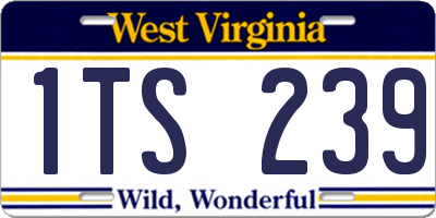 WV license plate 1TS239