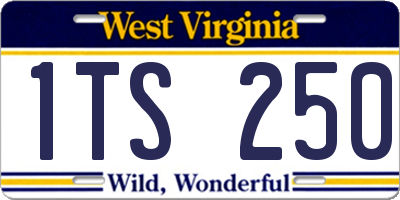 WV license plate 1TS250