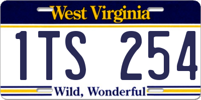 WV license plate 1TS254