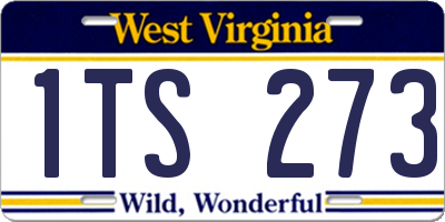 WV license plate 1TS273
