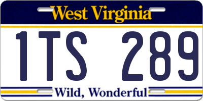 WV license plate 1TS289
