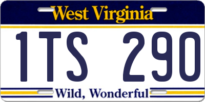WV license plate 1TS290