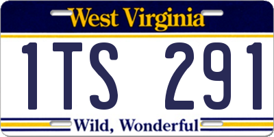 WV license plate 1TS291