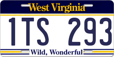 WV license plate 1TS293
