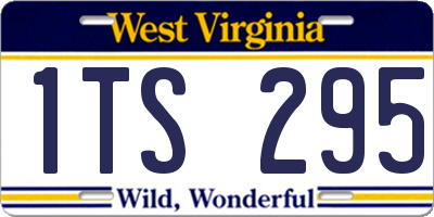WV license plate 1TS295