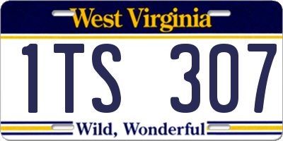 WV license plate 1TS307