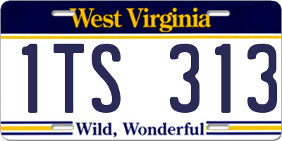 WV license plate 1TS313
