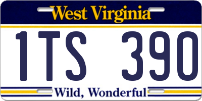 WV license plate 1TS390