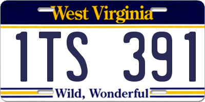 WV license plate 1TS391