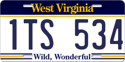 WV license plate 1TS534