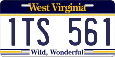 WV license plate 1TS561