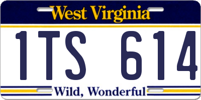 WV license plate 1TS614