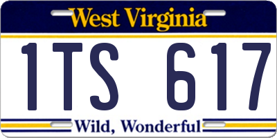 WV license plate 1TS617