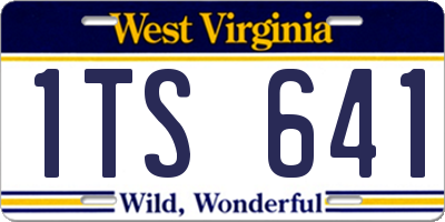 WV license plate 1TS641