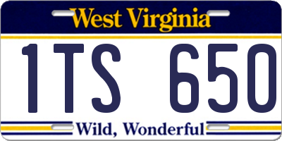 WV license plate 1TS650