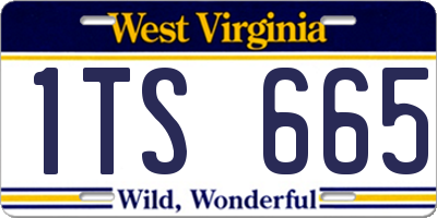 WV license plate 1TS665