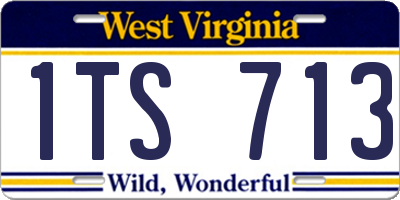 WV license plate 1TS713