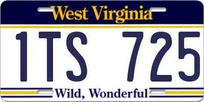 WV license plate 1TS725