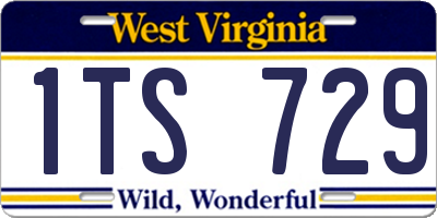 WV license plate 1TS729