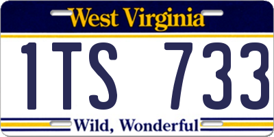 WV license plate 1TS733