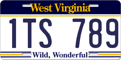 WV license plate 1TS789