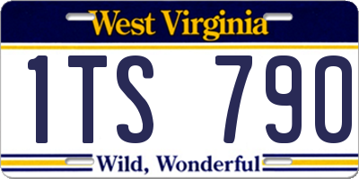WV license plate 1TS790