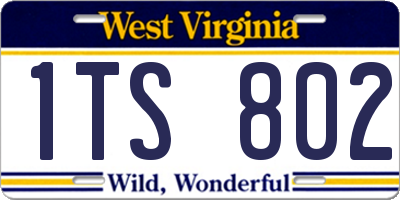 WV license plate 1TS802